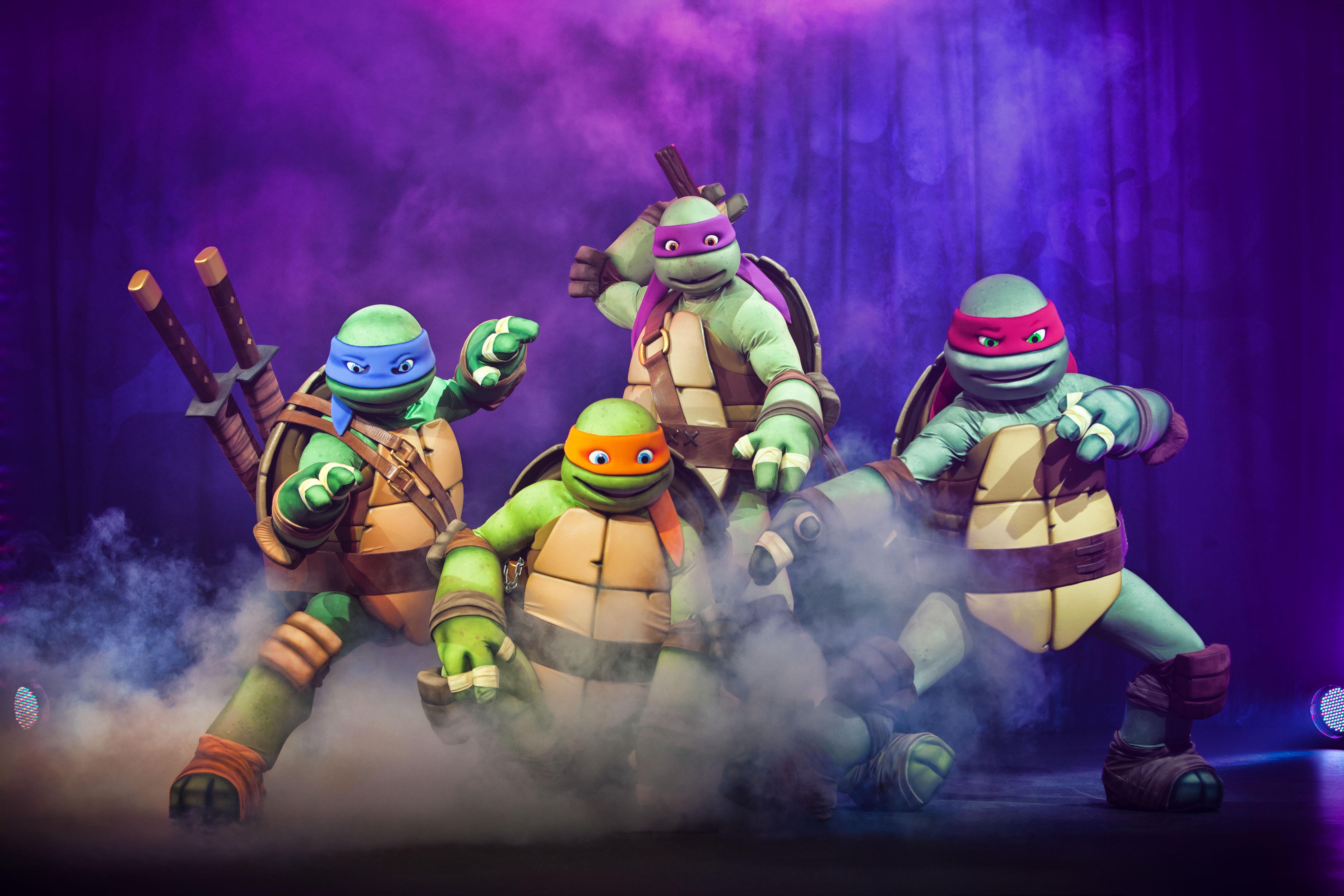 Teenage Mutant Ninja Turtles Cartoon