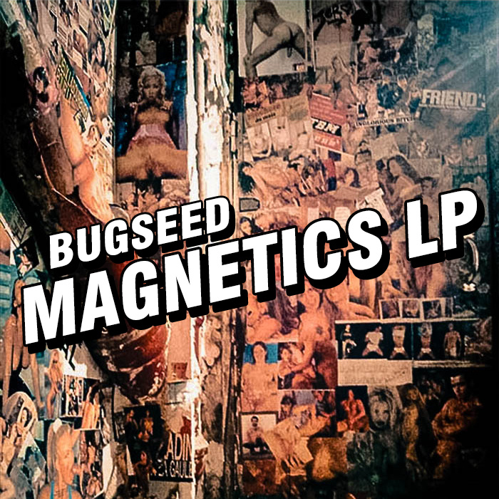 Magnetics LP cover