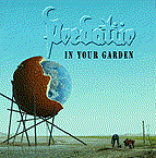 In Your Garden cover