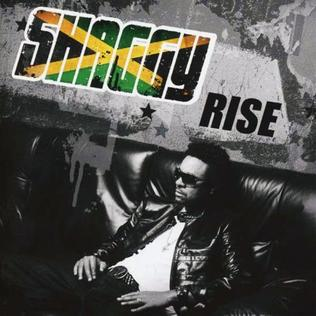 Rise cover