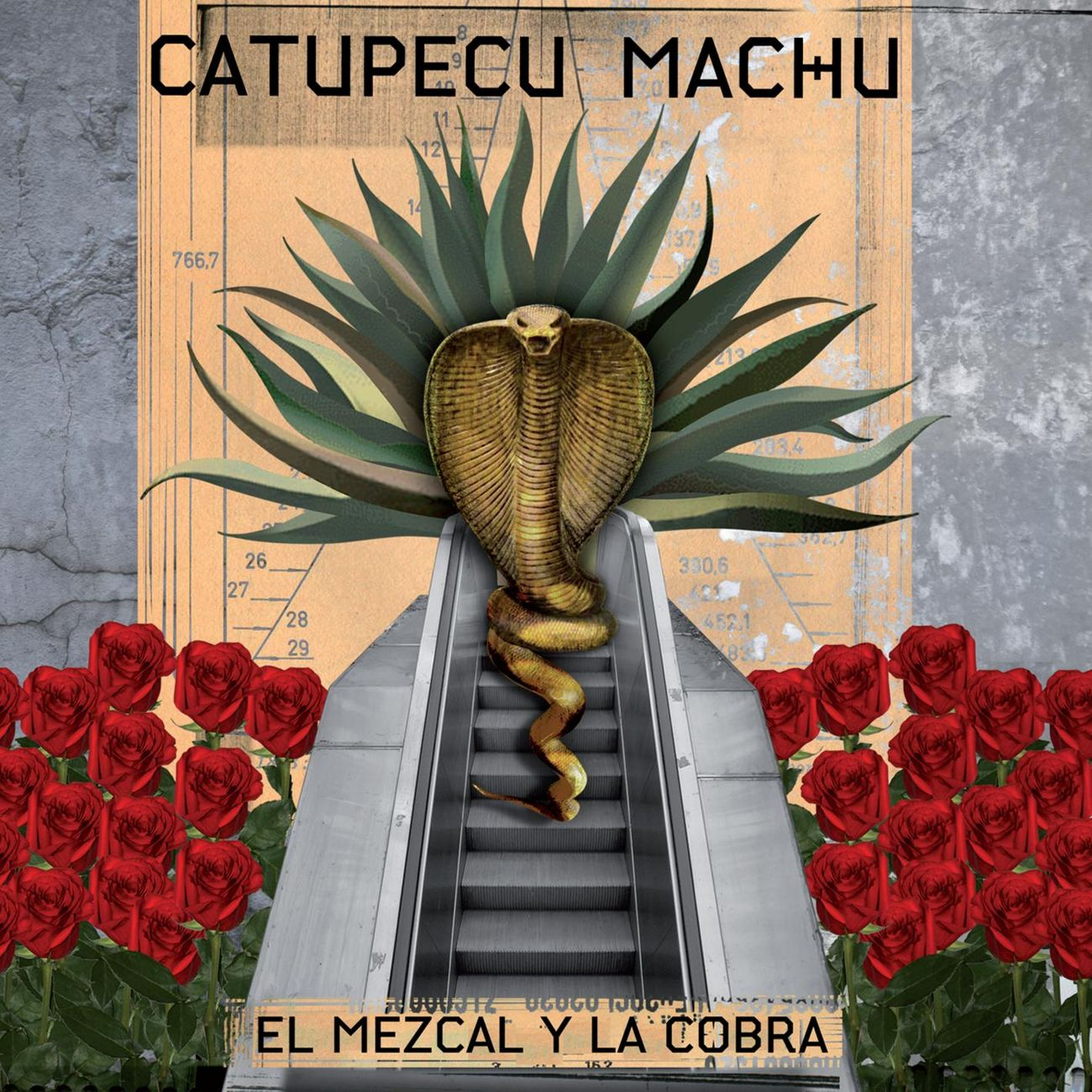 El mezcal y la cobra cover
