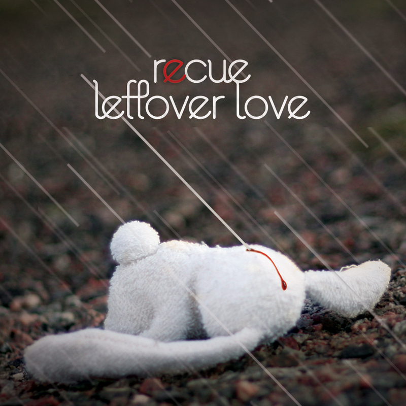 Leftover Love cover