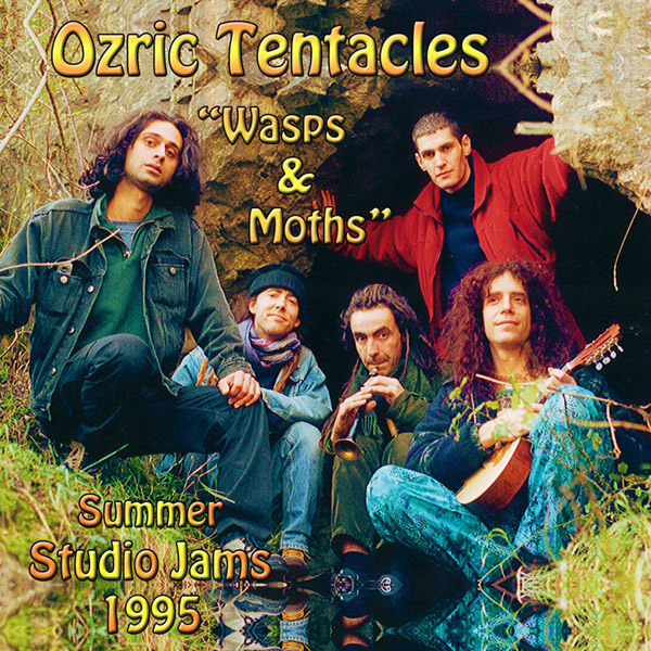 Wasps & Moths cover