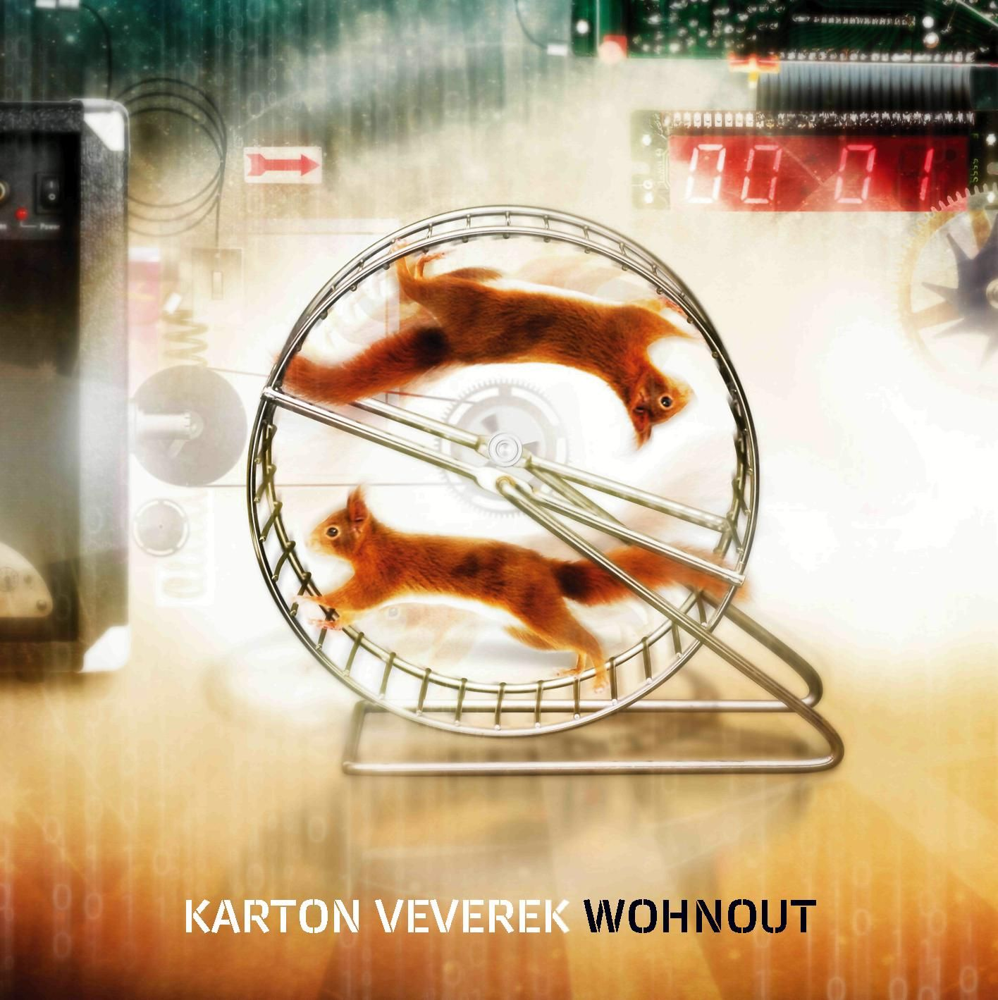 Kartón veverek cover
