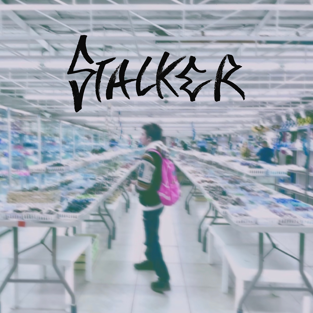 Image of stalker