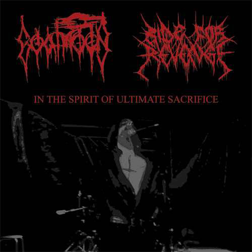In the Spirit of Ultimate Sacrifice cover