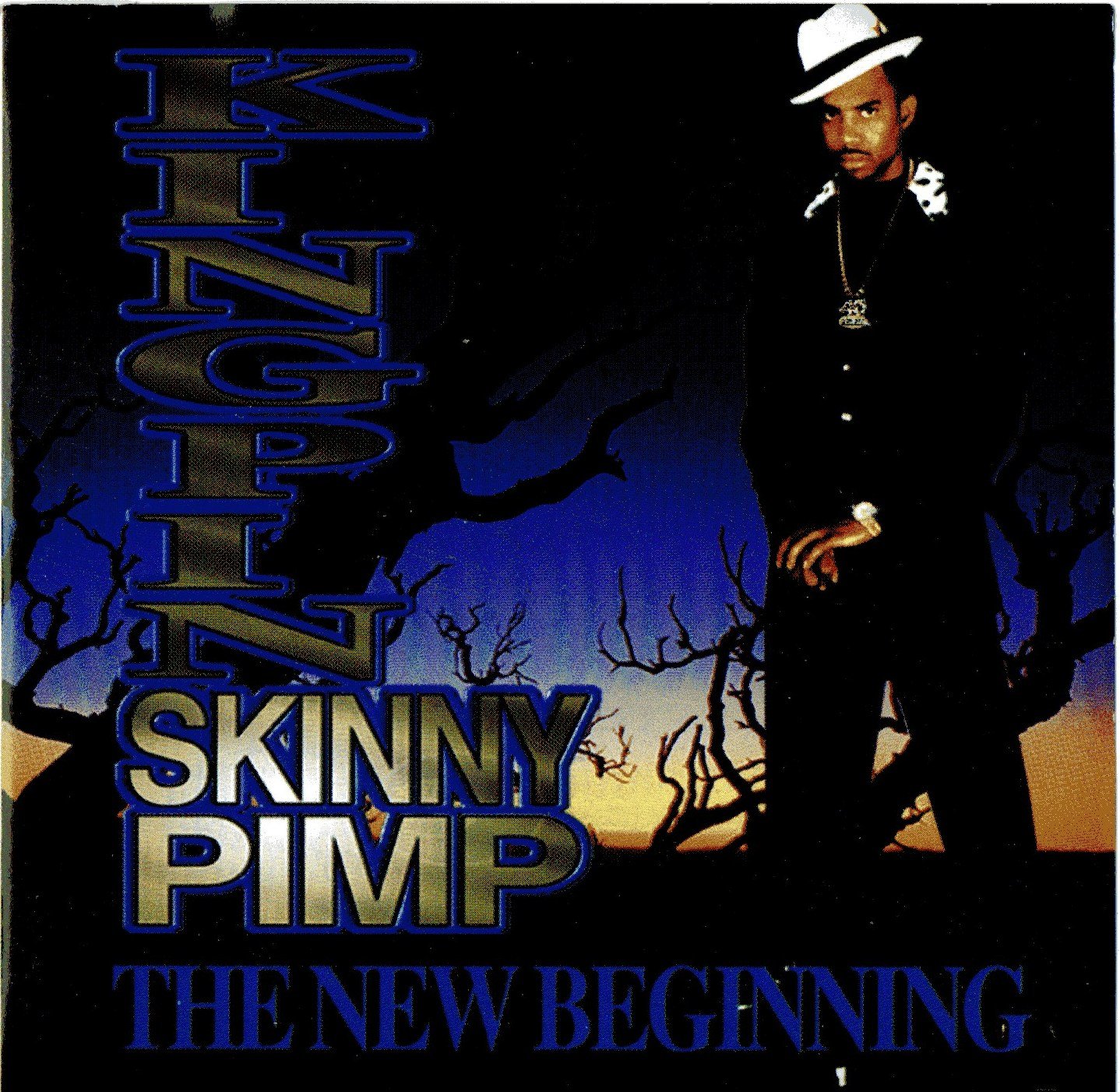 Pochette The New Beginning