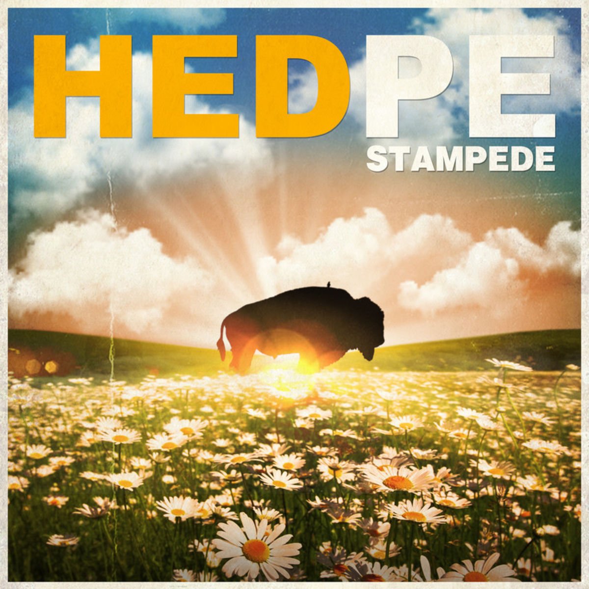 Pochette Stampede