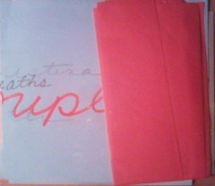 Pochette Coupled
