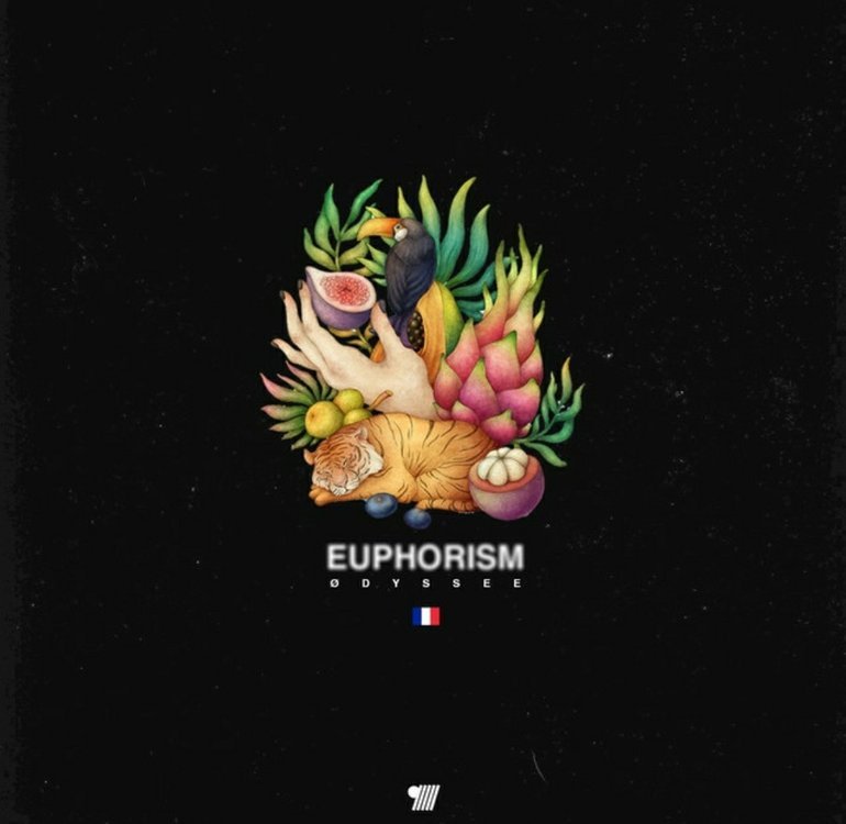 Pochette Euphorism