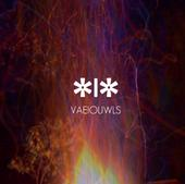 VAEIOUWLS cover
