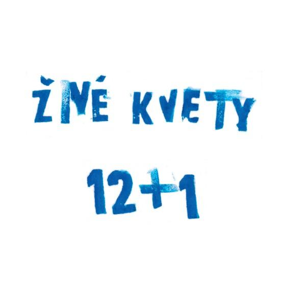 12 + 1 cover