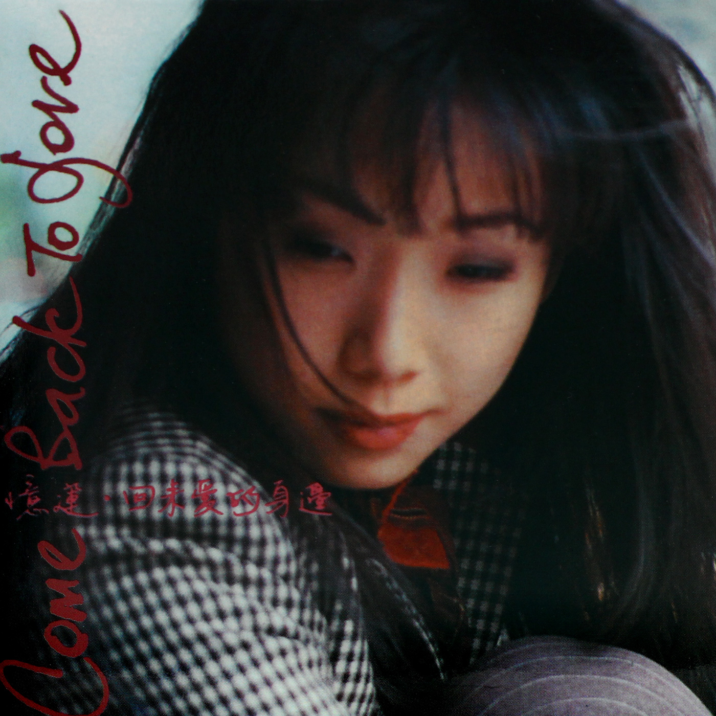 回來愛的身邊 cover