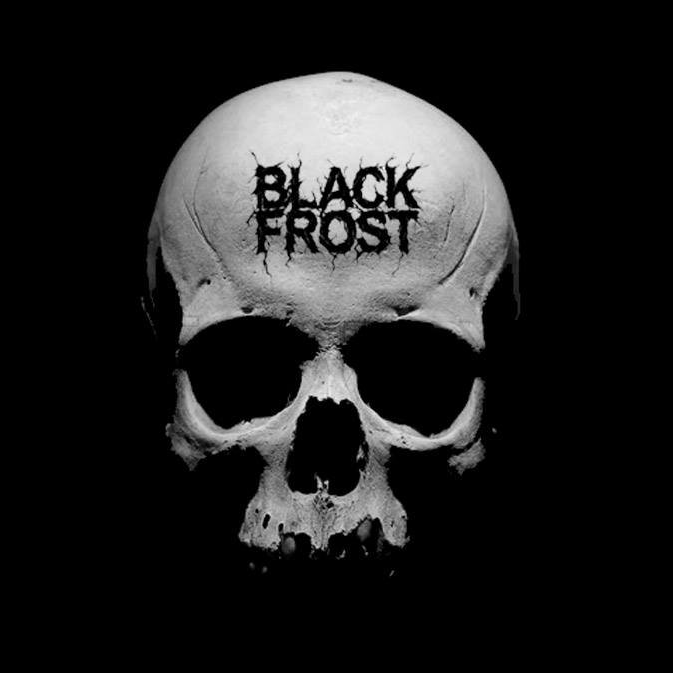 Black frost. Black frost rp. Black frost. Black frost идиома. Блэк фрост персона 4.