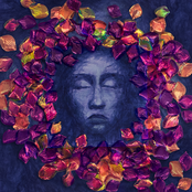 Flowerbed