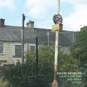 This New Community by David Newlyn