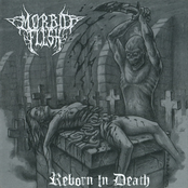 Reborn In Death
