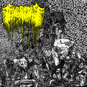 Civerous: DEMO MMXIX