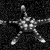 …and so the lights shut off