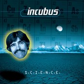 Incubus - New Skin