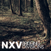 Nerve by Nxv