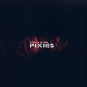 Tribute to the Pixies