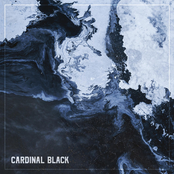 Cardinal Black: Cardinal Black