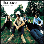 Neon Wilderness by The Verve