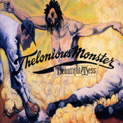 I Live In A Nice House by Thelonious Monster