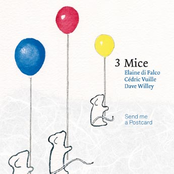 3 mice