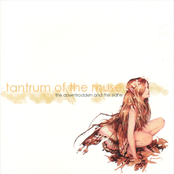 tantrum of the muse