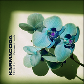 Feels (Extrawelt Remix)