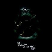 The Shadow Of Plastic Tree