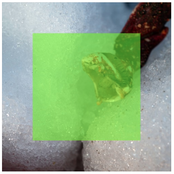 SPZL KIDS 1 - The Remixes