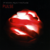 Pulse