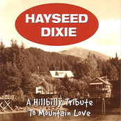 I Love Rock & Roll by Hayseed Dixie