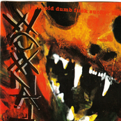 Stupid Dumb Fuck Sucker Fish