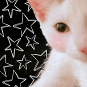 silly gay bweakcore awbum :3