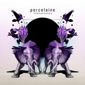 Adore by Porcelaine