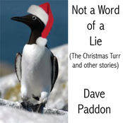 Not a Word of a Lie (The Christmas Turr and Other Stories)