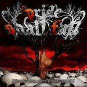 Upon The Court Of Eden