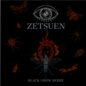ZETSUEN