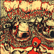 Citizens of the Universe