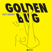 I Can't Stop by Golden Bug