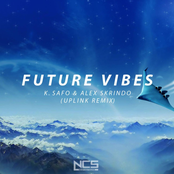 Future Vibes (Uplink Remix)