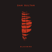 Dan Sultan: Blackbird