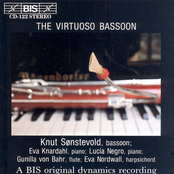 Virtuoso Bassoon
