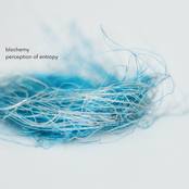 perception of entropy