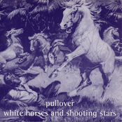 White Horses and Shooting Stars