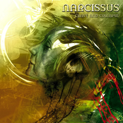 Indifference Of Living by Narcissus